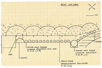 Plan de plantation